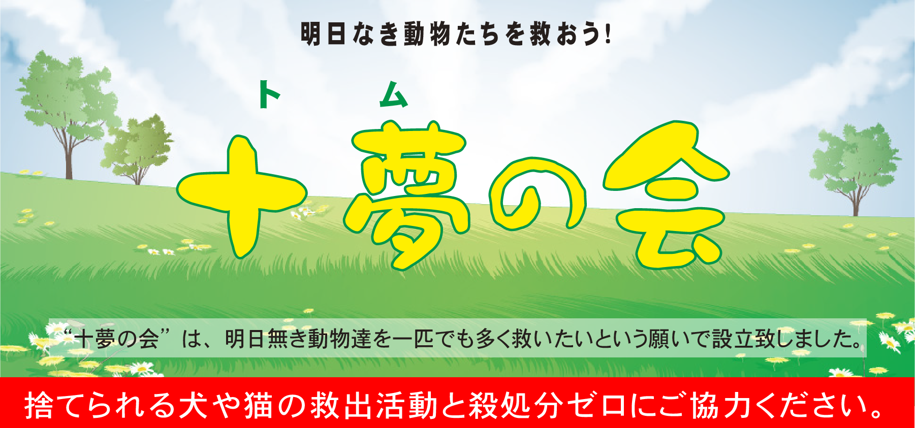 幸せな犬、不幸な犬。人との出会いで犬ネコの運命も変わる。